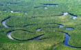 30 motivos para preservar as florestas do Brasil